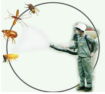 臭蟲(chóng)防治